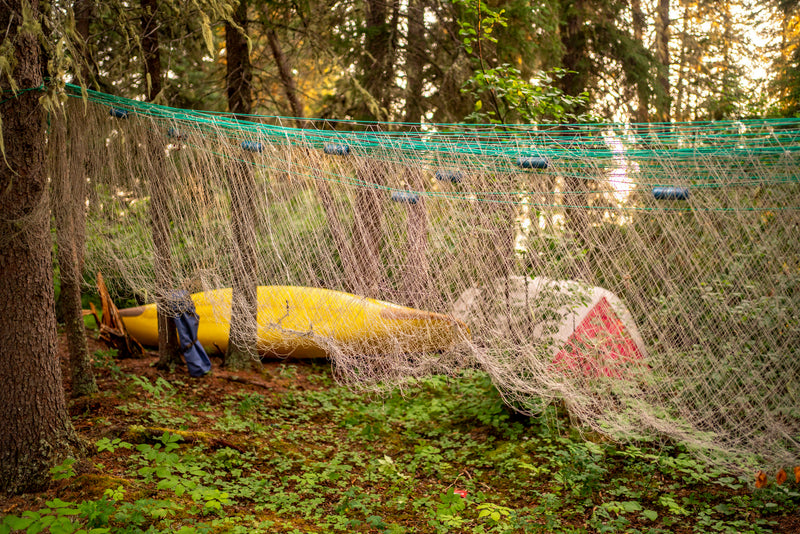 Summer Canoe Trip: The Old Trails