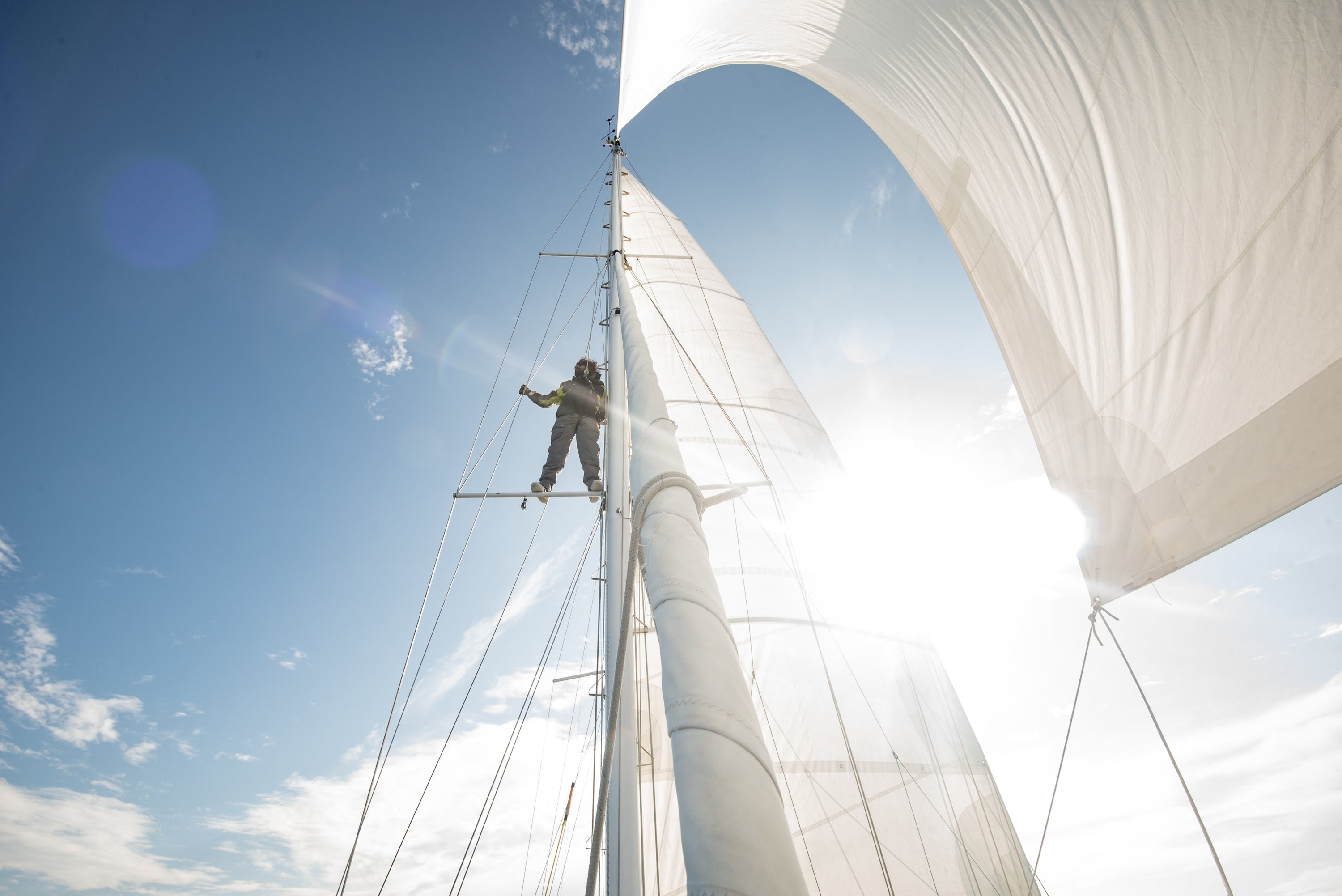 Unlocking the Secrets of the Ocean with the Whale Research Collective