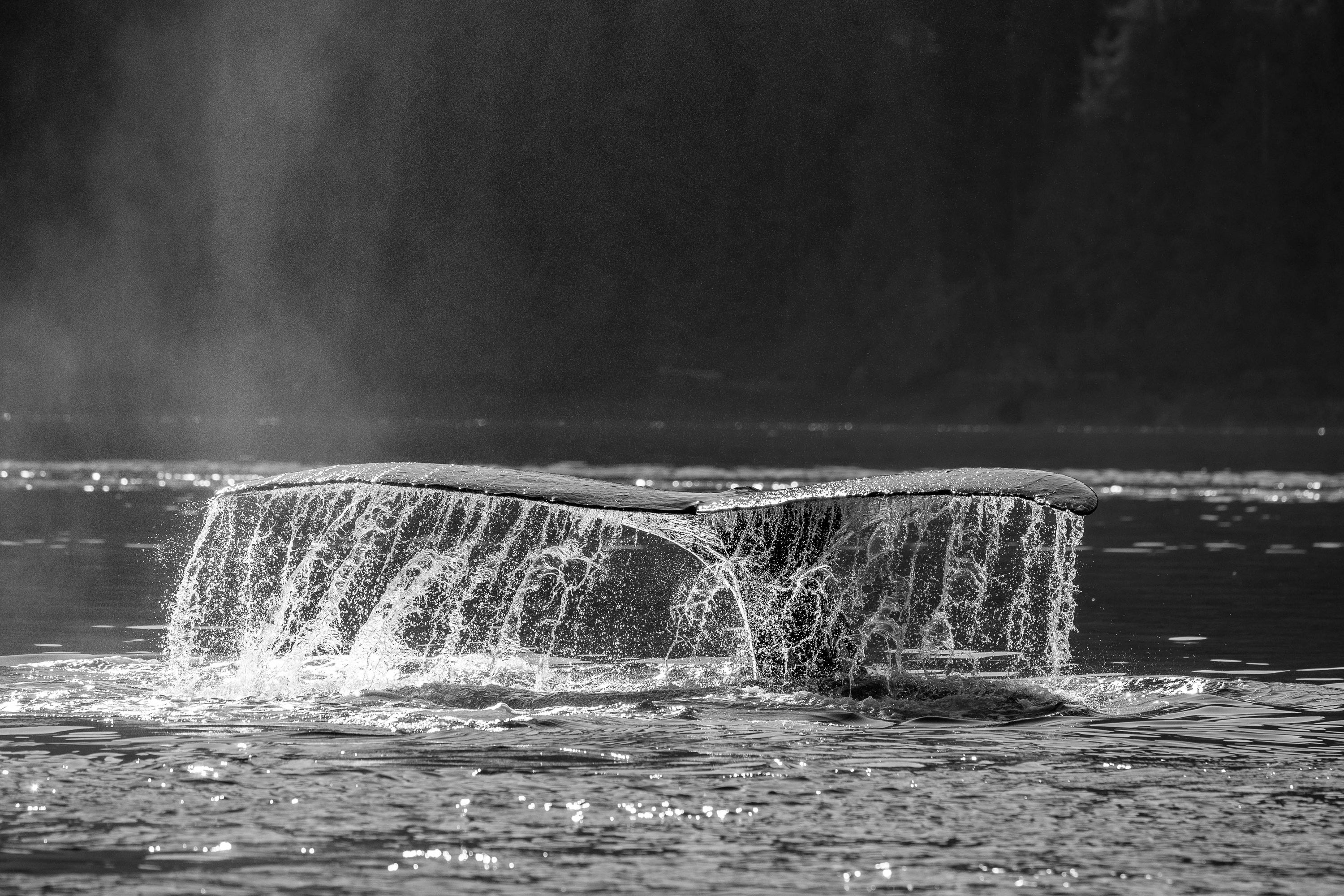 Investing in Positive Change