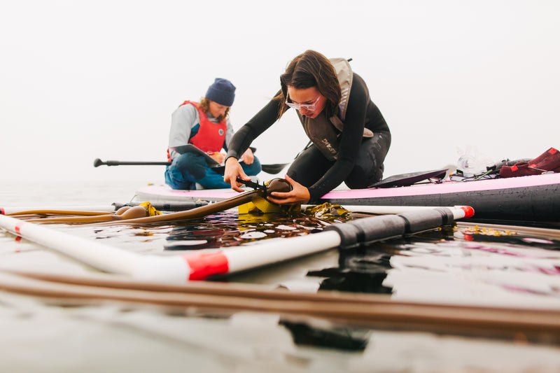 Redd Fish Restoration Society