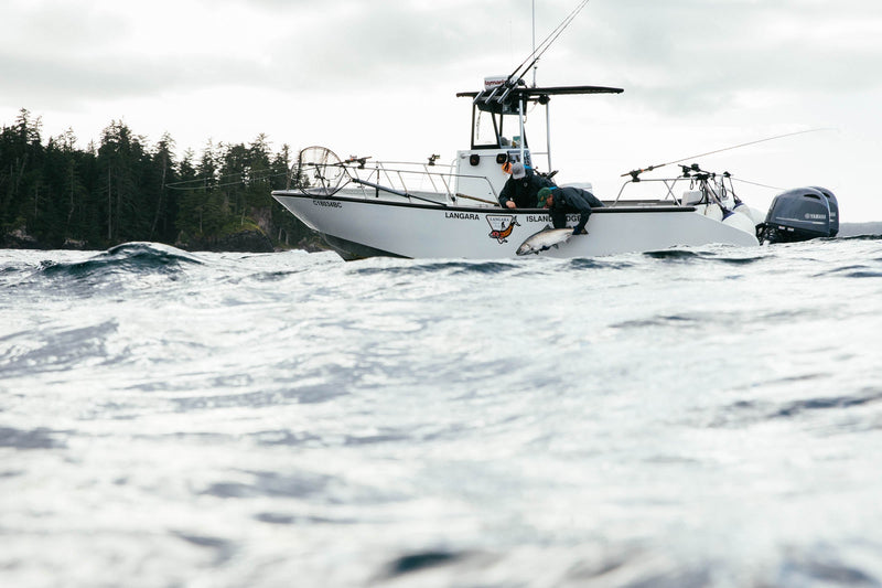 Anglers aboard a Langara Island Lodge boat pull a large salmon from the ocean waves along a forested coastline.