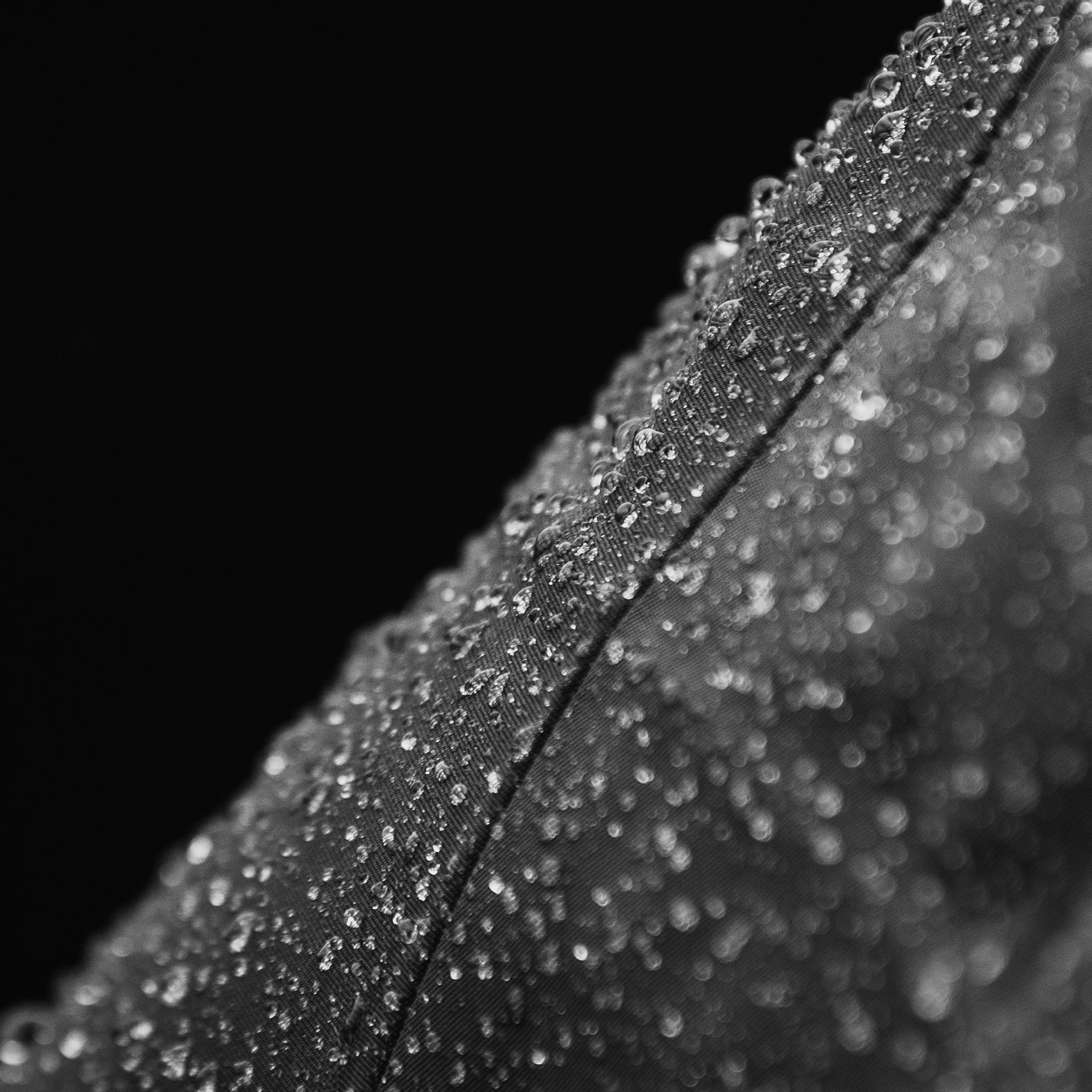 Eliminating PFAS at Mustang Survival