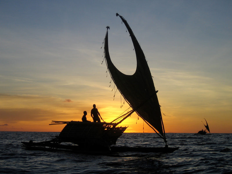 Ancestral Voyaging: The Vaka Taumako Project
