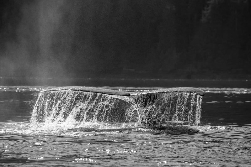 Investing in Positive Change