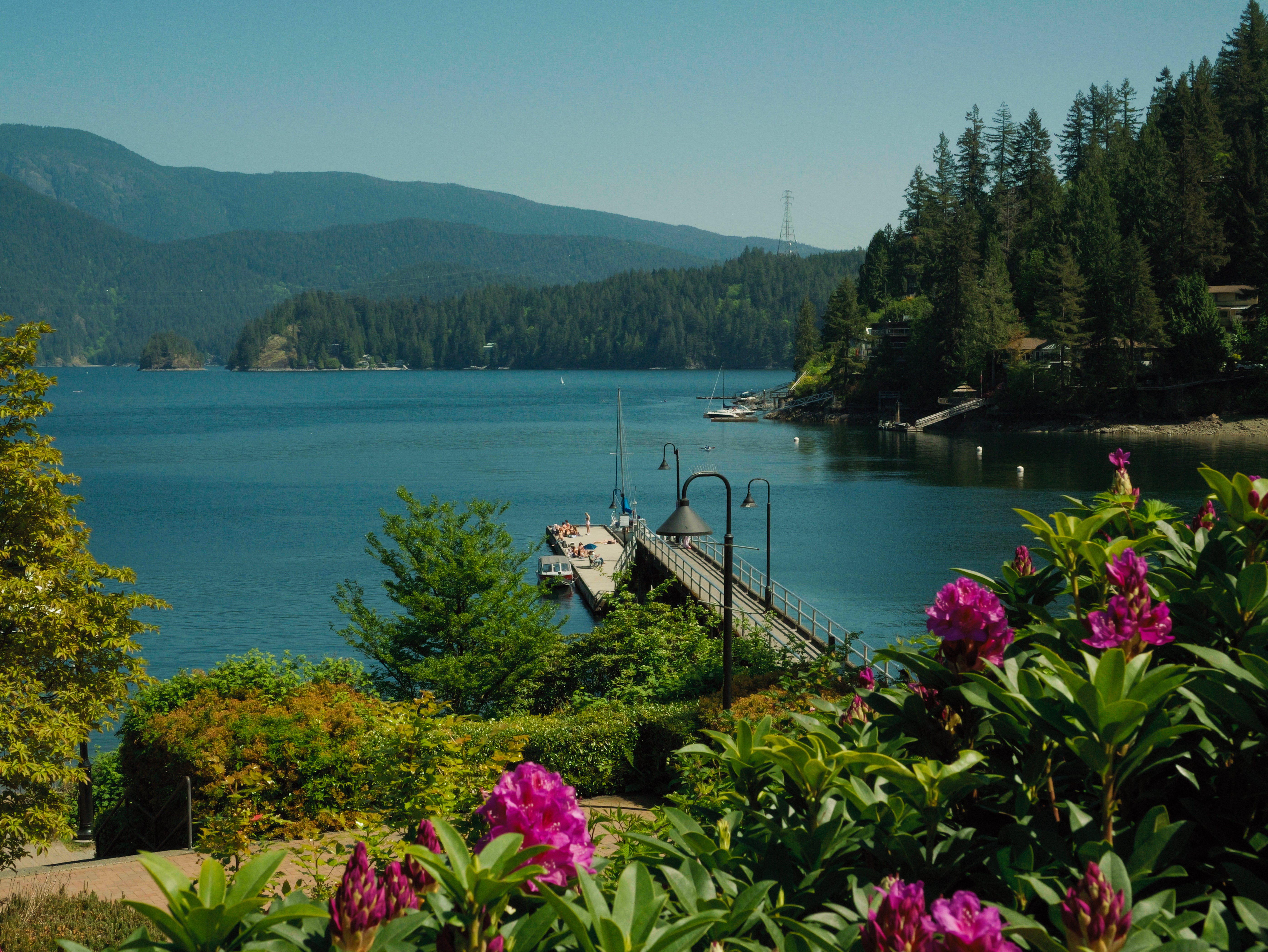 Scenic view of a lake with a dock, surrounded by trees and mountains.