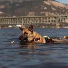 UnderDog Foam Flotation